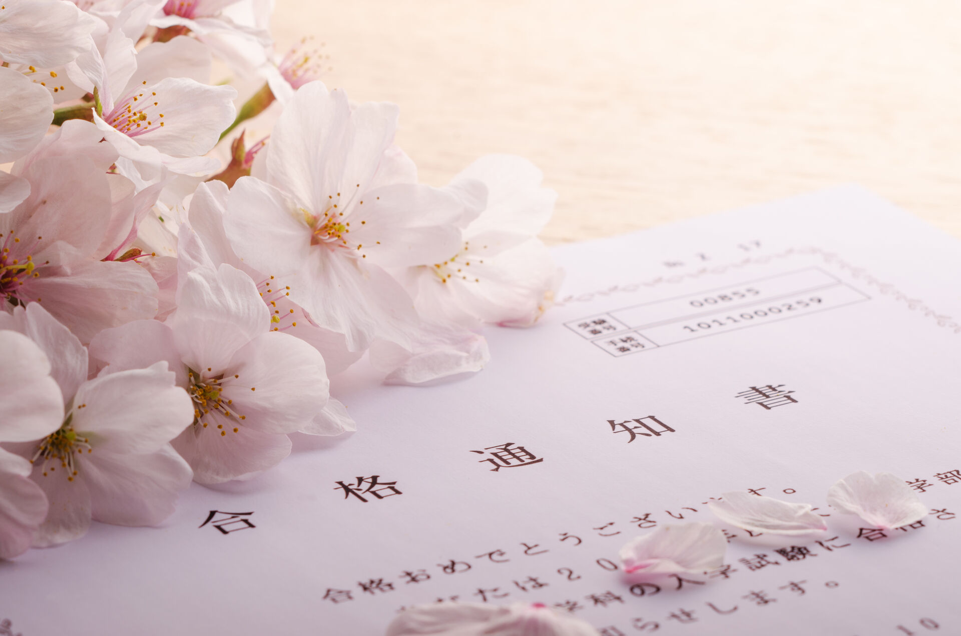 学習塾（中高、受験生）3